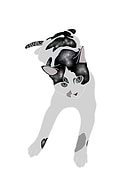 2021-09-21/08f0e14570ee6f2f10aa1e3c123501c7_a78df79f7cb97c4e16184b2a0ed8a5d3