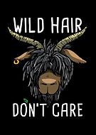 2021-09-22/224c9f846adfd45c88b9a4e19d0ca164_52b28fa620688d4de2ed86cd37480ddc