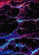 2021-09-27/093ef2ea7583bd084a6f5f6dc59d2b2d_830c0653fae9a9ec343bb5106875886c