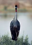 2021-09-28/32eae84469bc9acd5c41eb62680364b9_dd3d6c4350165f88b1dbe9fefafce128