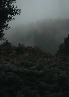 2021-09-30/595f5a9246fef871d4325843e5a2e1f5_eea6e2890858b7075d0cbde248acea6b