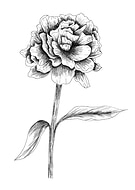 2021-10-02/8bc91a57d0ada48b4f004a6fae5485af_3b9799157469bc703d0e4a45fd0698bb