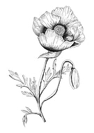 2021-10-02/c3a99b1d0f934b3bb2f350a9699be67e_fc7ca78a646b0e1a245c8a4498a5616d