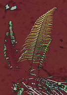 2021-10-14/e183a523dcd70945cab30d305bbababd_7947d99fb2abfcf69cb25225574d86db