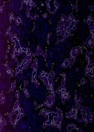 2021-10-16/19f4682e950f92d63599be6f5ab7598b_ede728347beb5588f98c30897b6a69b1