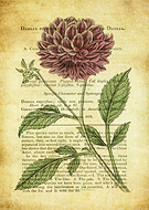 2021-10-21/144f4e0b5e926b3e190efebec2b7a44e_f07a11eac9a9f18a9ab43b27dc0e4ce2