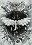 2021-10-21/6fc16d1ca38ab1f08781ddb1eb8b844c_a4b249070e952483854c9bccec9d1985