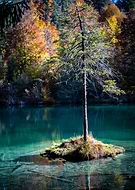 2021-10-24/1ffa4db804cc969f185ce5e8f72de288_1b6060f5fbda550355b42a45e3583cbc