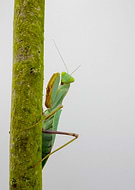 2021-10-25/16f5f4b4e9a99fd8d06e29697aac6b05_0d1fb2156aeab904ec6572ef12e1d036