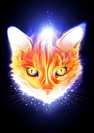 2021-11-07/8a245058aa403b0bf93c02bb21f33b92_734e0e08a0779b18cdcb636a80d48d33