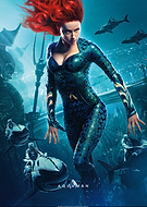 collection-preview-3