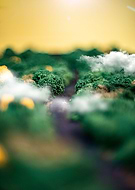 2021-11-13/833b813c0b062af1046257cce2d4dd78_1cc3ab306e0386747ef0056dcec66f2b