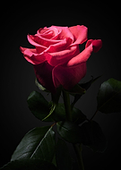 2021-11-15/86e8e21579051b4ee0b12203f468d6dc_715df490ebcbc82dc023b4cdb0e09264