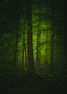 2021-11-19/7d379e9598c2a7bca03580ee4f2a87b4_c1950c352ad070039bc10498d98a7839