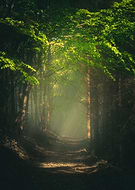 2021-11-19/cc6dc98af920c7fff18b360d3ab86810_c5143fe4d368c6bb1d5ea592e7903808