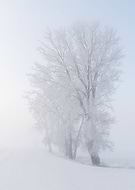 2021-11-20/b06937e7e3c47b208302b8d11852a8fc_7958e3333efc269b7b84df659f00b87a