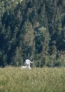 2021-11-21/06ae401c1b888d733218d1917f0f6d60_8b6f45a42d7ce6c73eccc5e63660737f