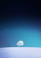 collection-preview-1