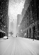 collection-preview-0