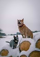 2021-11-24/0aac887a6d725f35cda2ad1e6f9748f3_b242bf24763a5bcb65e96ccc737347a8