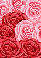 2021-11-25/157d5a53dec95be322164079949e70af_8228384cc415391017bf38eb6acee03e