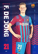 collection-preview-3