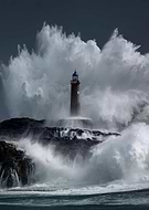 collection-preview-2