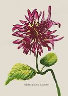 2021-12-01/59b78bdfe49f22951db71890b5766c10_30d33e9cf83c57f133321083a34a8d0f