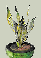 2021-12-01/6c8391837c8fccb575a2090c481a3790_5bc66a4ce7c0e79ad0a14b6430a2b6ca