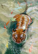 2021-12-02/c5b58b2ed37ce75d98452fdcc75e4746_caac6761dea658cb198998a9d0118267