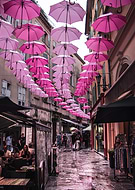 2021-12-03/4dec0cc70f163ddf0df3f7d527fd1bd6_d9e9fa7be6cbc95d7ca900876ca37a91