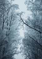 2021-12-07/51aeba848be00edef39cbdbb7882681d_9e145bd0ee81f79f04746b0d7b53a24a