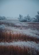 2021-12-07/713cf11ff62d87bda5d88e1d2073a702_3f2ed713d0adcdb53b4e28a728857600