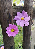 2021-12-11/4a7458b393aa70e882209c854e9eaa93_1a7be1302980d78667ef84ff5e4e09b4