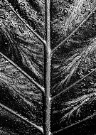 2021-12-14/0ab010d56be73e77f551801c82744c59_26f0aeb6c3278aef3e3e01206a0369fa