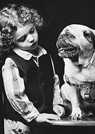 collection-preview-1