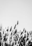 2021-12-14/d320244ed74d12a3e670a977281b503b_3955981ecc12397889e97c22aabc5486