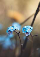 2021-12-15/0417a05b0cfcea84a8769b1dc6c9cabd_4741b29884971e8c3376c46bb1603f62