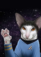 collection-preview-1