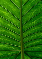 2021-12-23/5f3edaf161ca4dfc6d139597cf195117_b0aee0a326c9b4dc223b5bc1d8ca6888