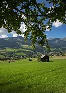 2021-12-31/c784c46c1997f1228d620c65bb529613_c0249f131ac4df42dbbfa1cbb4d71dca