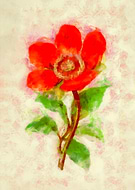 2022-01-07/b6d4ab315b87dadfb1d9375e36448af3_cb4ef27c04c6fadb2a720b7049df74a2