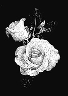 2022-01-09/7e2ee9677b3f1c62c619db11bb9151ef_d3f833a034cdf900bb1b1221803cef60