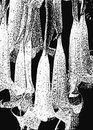 2022-01-09/e8b7cf84c393cf0b348138d7fc151e96_5f61ec55e7bed383b9b25e230d736ea9