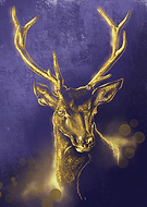 2022-01-20/0c9878580f4e13efdb7627cf0363529f_4daf42377a1e15f939c75f58d1a8dce1