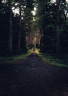 2022-01-22/8c6792730838d0af5dfd173afdd84b24_3b5e1733a29a08c4267eac263eda674c