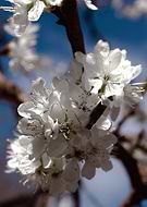 2022-01-22/bc676270a5e836ce1b0a7d754ea7d329_05d41679eb57b9eda19e998ce11ba110