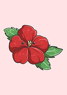 2022-01-28/747e66d19b09501cc02010f759828f2a_186768961580a35abb942bea35006245