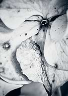 2022-01-30/98037673b3f0087fbca156dd8bd4c0f4_173df1084888cfa9472385464e7a95e3