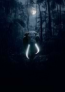 2022-02-01/54b0877df895e22f7e275394c690895d_72841f5352cf5c5a637ad028913616f4